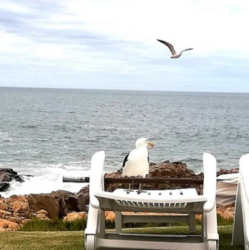 Beacon Island Resort Plettenberg Bay Esterno foto